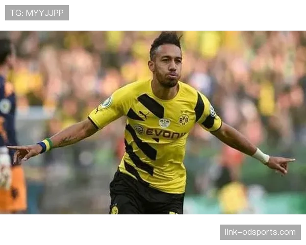 卢卡库与本泽马的终结模式之变：从单点强攻到体系协同