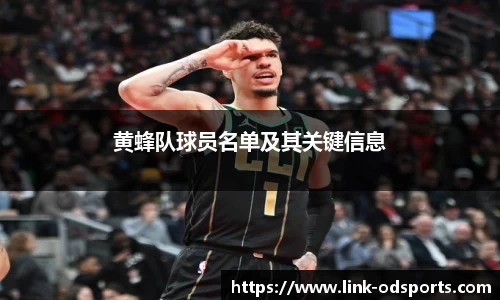 黄蜂队球员名单及其关键信息